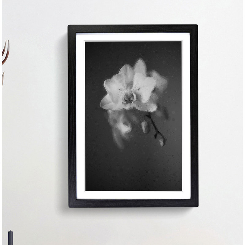 Pretty White Orchid - Framed Print, 50cm H x 35cm W x 2cm D, Black