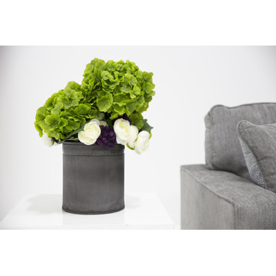 Plante à feuillage ranunc et hortensia dans un pot de fleurs