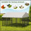 Grand enclos pour chien chenil pour l'extérieur L 9,62 po x l 9,35 po x H 6,18 po.