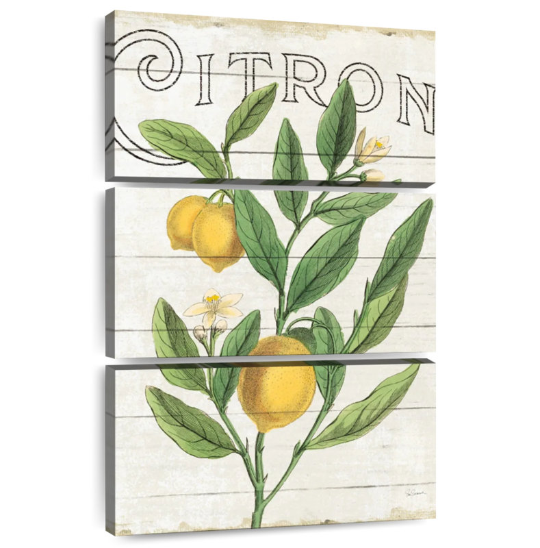 Yarlin Classic Citrus I Shiplap, 57" H x 36" W