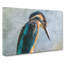 Kingfisher Bird Vol.1 - Wrapped Canvas-61839155