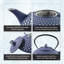 Buckingham Cast Iron Hobnail Teapot - Blue Pimple Pattern-827185644