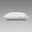 Pillow-922373347
