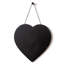 Heart Mirror
