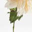 DAHLIA STEM 28"-719130425