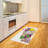 Mardi Gras High Density Long Fiber Poly Threads Decorative Area Rug Carpet-42030111