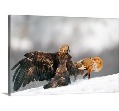 1x Yves Adams - Photograph on Canvas