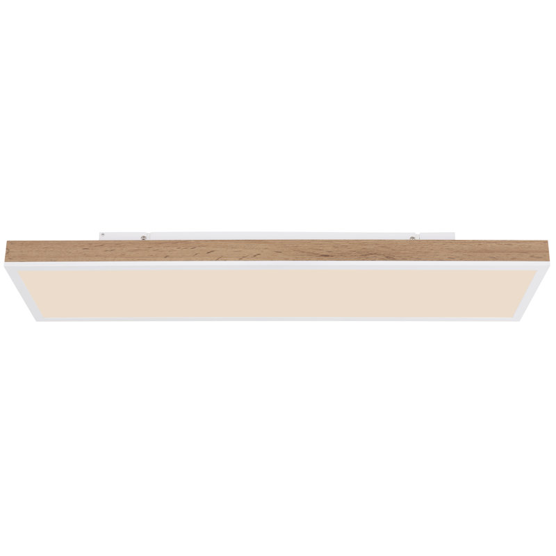 Chaquille Plastic LED Flush Mount