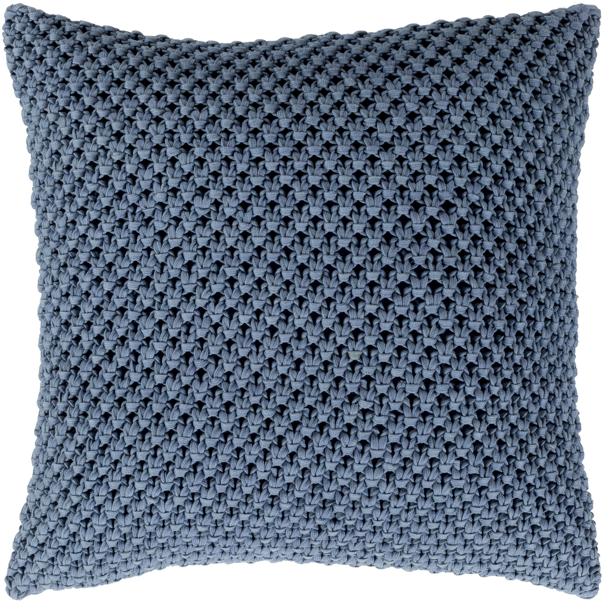 Lucile Cotton Throw Pillow, 22" x 22", Denim, Polyester