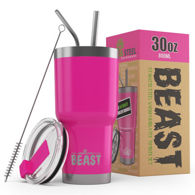 Ebern Designs 30.0ml Double Wall Insulated Stainless Steel Travel Tumbler