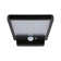 Solveig LED Solar Outdoor Flush Mount with Motion Sensor