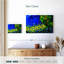 Fleurs bleues Alvord-107709289