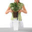 Pot Planter-16493058