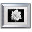 Modern & Contemporary-22947445-25775998-25775999