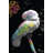 Draw Bird Neon Draw - Wrapped Canvas Print-1175465621