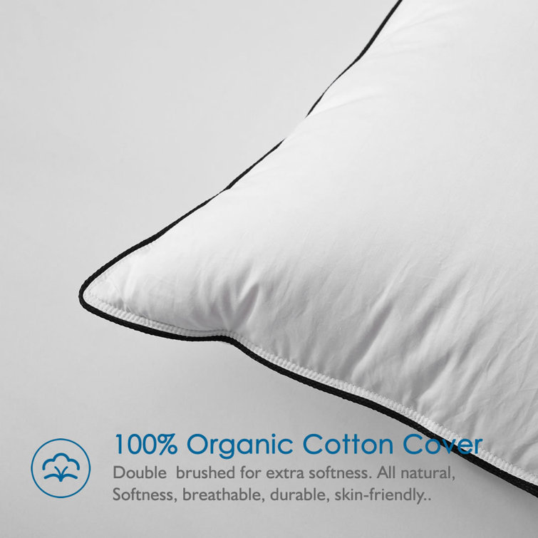  Down Feathers Blend Medium-Support Bed Pillow, Standard