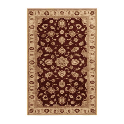 Machine Washable Overdyed Brown Area Rug