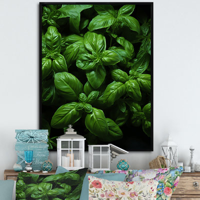 «Herbs Basil Vibrance 4 - Floral Herbs», art mural