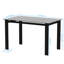 Table de ski rectangulaire en verre trempé noir, pour les sports d'hiver, capacité de poids de 170 lb