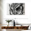Hibou Brampt-107680018