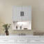 Armoire murale de salle de bain l 24 po x H 29 po Fralimk