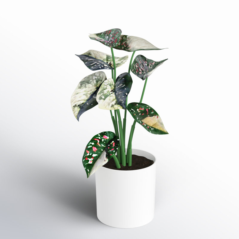 11.5'' Faux Plant in Pot, Green