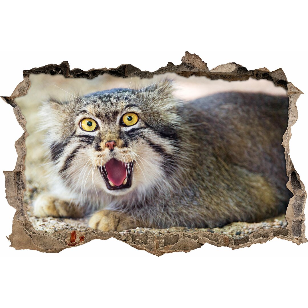 Roaring Pallas Cat Wandaufkleber