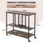 Edgilyn Steel Bar Cart