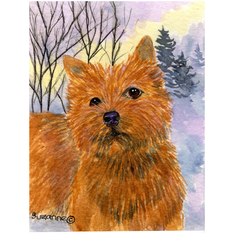 Norwich terrier 2 côtés polyester 40 x 28 po drapeau maison