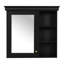 Armoire de rangement murale de salle de bain noire de 30 po x 28 po, charnières à fermeture en douceur et miroir transparent