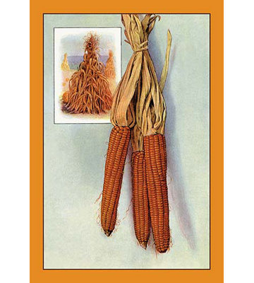 " Corn "