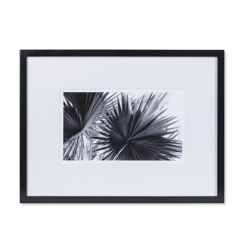 Black And White Palm Leaves B Print
