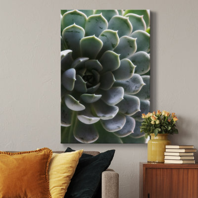 Zen Succulent I - reproduction de photo sur toile tendue