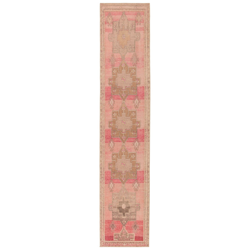 Asuncin Polyester Machine Washable Performance Rug, Runner 2'6" x 12'