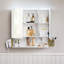 Winnie Surface Framed Mirrored Bathroom Cabinets with Mirror and 3 Adjustable Shelves