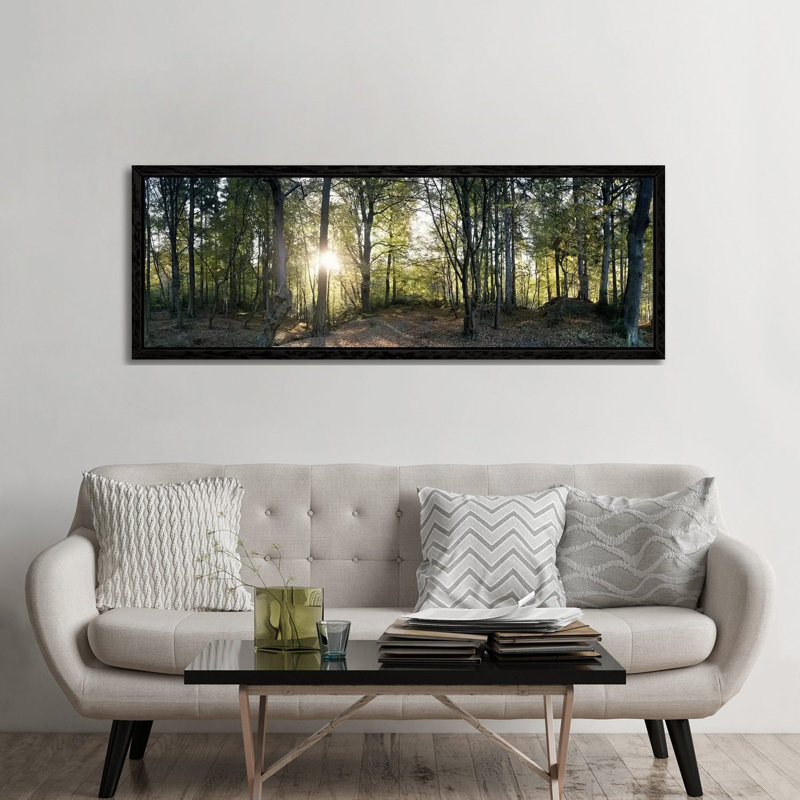 Trees In A ForestBlack Forest, Freiburg Im Breisgau, Baden-Wurttemberg, Germany by Panoramic Images - Panoramic Gallery-Wrapped Canvas Giclée on Canvas