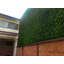 1.5 ft. H x 1.5 ft. W Artificial Moss Fence Panel