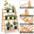 Cid Solid Wood Planter Accessory
