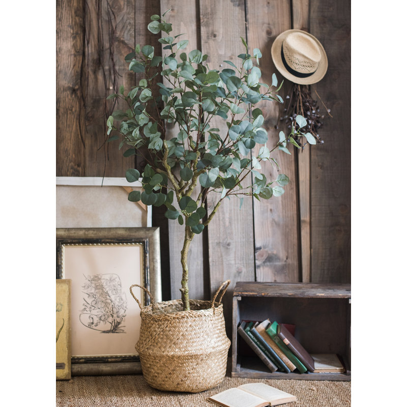 Faux Eucalyptus Tree in Pot Liner, 5.1" H x 31.5" W x 5.9" D