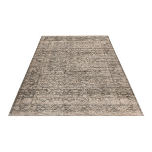 Everest Southwestern Area Rug