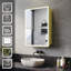 Daquavion W H Wall Mounted Required Medicine Cabinet Mirror 2 Adjustable-1321882437-1321882457