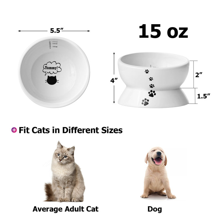 Y YHY Elevated Cat Food Elevate Feeder & Reviews