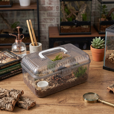 Terrarium gris transparent pour insectes et reptiles