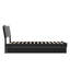 Phoenix Wood Platform Bed with Trundle-223210848-223210853