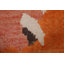 Tapis marocain abstrait noué à la main 9 x 13