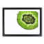 A Slice Of Kiwi Fruit - Single Picture Frame Painting-55457455-55457454