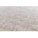 Bacall Oriental Area Rug
