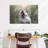 Brampt Nature Dog-107845344