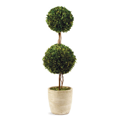 Preserved Boxwood Double Ball Topiary in Pot