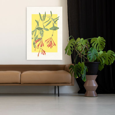 Orange Honeysuckle Bloom Vibrant Abstract Honeysuckle Flower Nature Wall Art